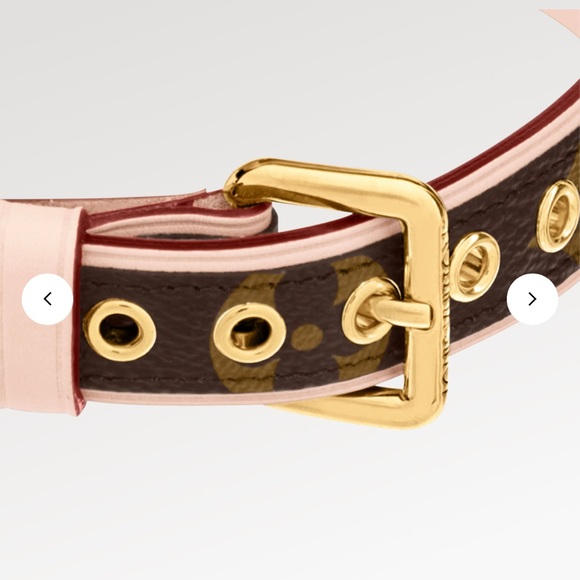 Louis Vuitton Dog Collar - Picture 2 of 12